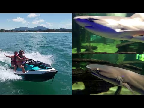 Видео: ЛАНГКАВИ  ПЛЯЖ ЧЕНАНГ И ОКЕАНАРИУМ. РАВЛЕЧЕНИЯ И СЕРВИС НА ПЛЯЖЕ И ЦЕНЫ