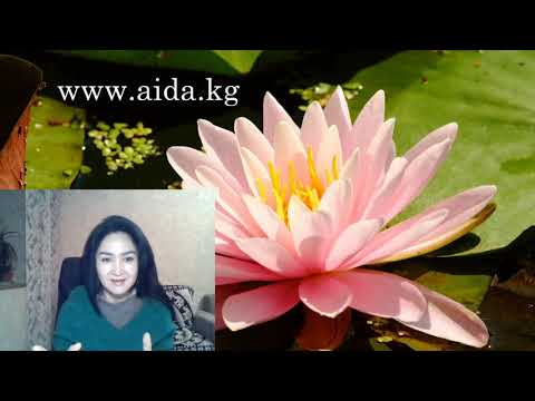 Видео: Аида аудиопрограммасы "Өзүңө ишен"