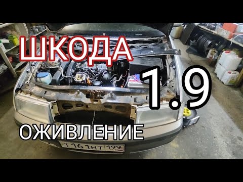 Видео: Оживление Шкоды 1.9TDI. Стояла почти 2 года.