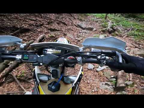 Видео: 17.08.2025 г.