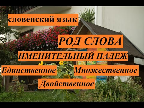 Видео: Словенский язык. Род слова. Именительный падеж. Один, два и много.