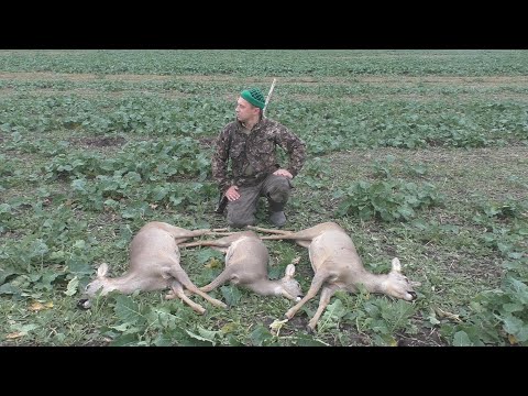 Видео: СУПЕР ОХОТА НА КОСУЛЮ С ДРОБОВИКОМ!!! МЯСНОЙ КАРМАН!!!