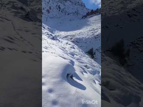 Видео: Исмати Рози мазаи Шакаров.