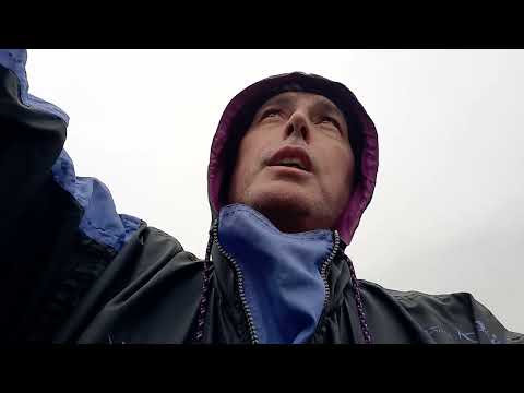 Видео: 18 км днес: в търсене на еленови рога