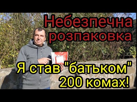 Видео: Небезпечна розпаковка! 200+ миролюбних ОСМІЙ (Osmiacornuta). Бджола, що врятує сад.