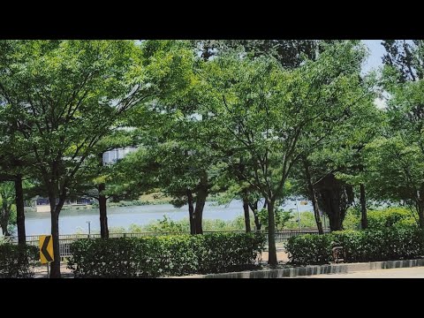 Видео: Медленные дни интровертного видеоблога🍃 (живу одна, готовлю)