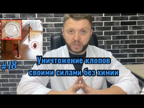 Видео: Уничтожение клопов самостоятельно без дезсредств