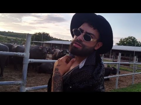 Видео:  ARKAN - Kaji Mi 2025 / АРКАН - Кажи Ми 2025 