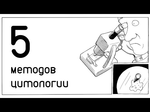 Видео: 5 методов цитологии для ЕГЭ