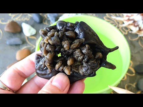 Видео: 💯% ТОЧНО 👽ЛИЦО ТВОЕГО ВРАГА ♠️ ПРЕДУПРЕЖДЕН- ЗНАЧИТ ВООРУЖЕН 🔔 ТОЧНАЯ ОТЛИВКА С ВОСКОМ 🔥