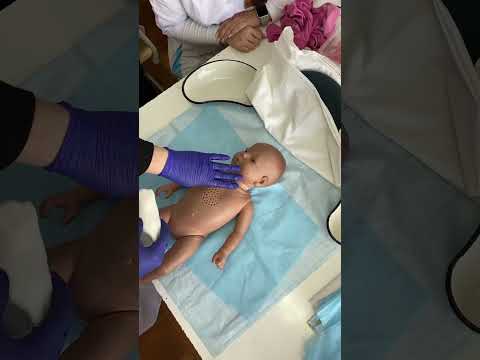 Видео: Алгоритм физического метода охлаждения с помощью льда