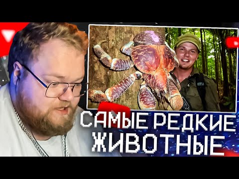 Видео: T2X2 СМОТРИТ - 15 САМЫХ РЕДКИХ ЖИВОТНЫХ В МИРЕ