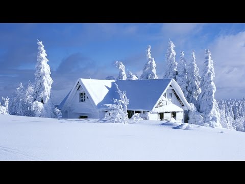 Видео: Консервация мотокосы на зиму