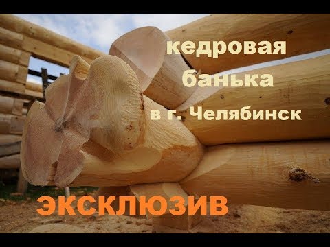 Видео: Банька из кедра с эксклюзивными комлями. Начало, 3 венца.