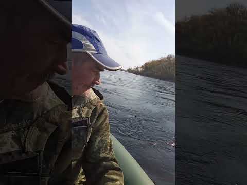 Видео: 18 октября 2025 г.