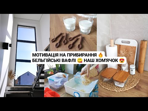 Видео: МОТИВАЦІЯ НА ПРИБИРАННЯ 🔥 БЕЛЬГІЙСЬКІ ВАФЛІ 😋 НАШ ХОМ'ЯЧОК 😍 Шоколадні ложечки / мию вікно