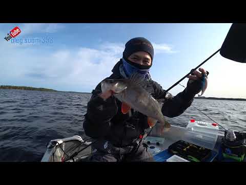 Видео: Panoptix LiveScope. Пробую ловить на Narval и Relax. Рыбалка в Финляндии.