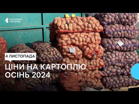 Видео: Ціни на картоплю на Закарпатті: що кажуть фермери, продавці та покупці