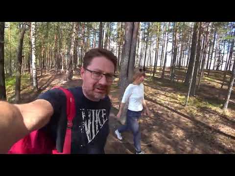 Видео: "Сестрорецкое болото"/Экотропы Северо-Запада.