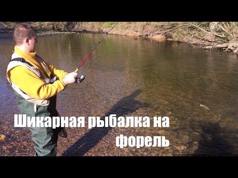 Видео: Форель. Рыбалка в США.