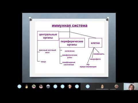 Видео: Иммунитет