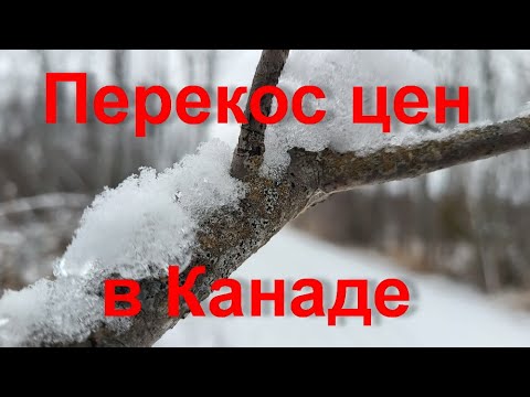 Видео: Перекос цен в Канаде. Что по чем? Монктон, Нью Брансуик 2023.