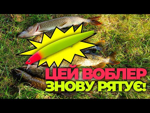 Видео: ЗНОВУ НАЛОВИВ ЩУК! ЦЕЙ ВОБЛЕР КОСИТЬ ЩУК! РИБАЛКА на ЩУКУ.