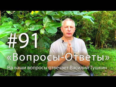 Видео: "Вопросы-Ответы", Выпуск #91 - Василий Тушкин отвечает на ваши вопросы