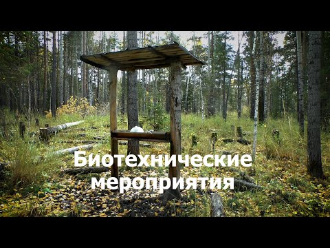 Видео: Биотехнические мероприятия