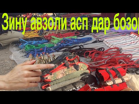 Видео: Нархи Зину авзоли асп дар бозори Душанбе (Ленский район)Беҳтарин навор барои подписчико.13.09.2024📅