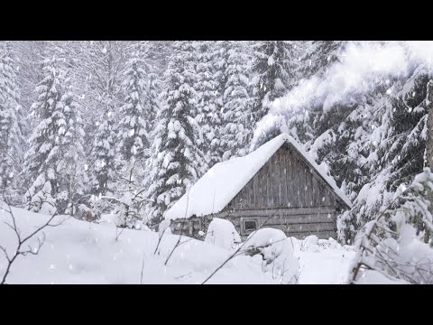Видео: экстремально холодная зимняя ночь в заброшенной охотничьей хижине