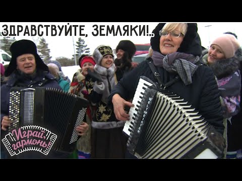 Видео: Играй, гармонь! | Галина Гончарова (Тамбовская область) | Здравствуйте, земляки!..