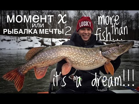 Видео: Когда просыпаются трофеи. When big pikes hunts.