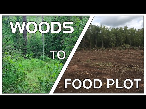 Видео: СОЗДАНИЕ МОЕГО КОРМОВОГО УЧАСТКА В ЛЕСУ | Серия «Оленьи угодья площадью 18 акров» (E.3)