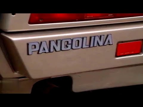 Видео: Александр Кулыгин и его легендарная "ПАНГОЛИНА" Интервью 1992