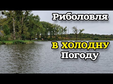 Видео: Риболовля на платнику, ЩУКА НЕ ДУЖЕ АКТИВНА