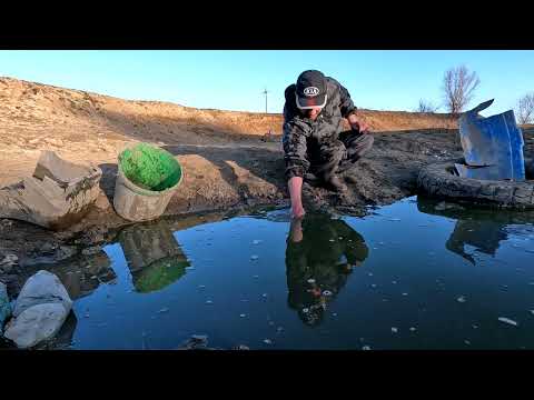 Видео: Я спас 1000 рыб от гибели 