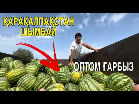 Видео: АУЫЛДА ПИСИКШИЛИК! ШЫМБАЙ ДИЙХАН БАЗАРЫ БАХАЛАРЫ ӨЗГЕРДИ!
