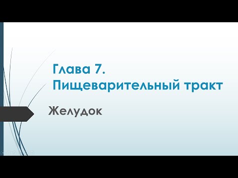 Видео: Физиология. Глава 7. Пищеварительный тракт. Желудок