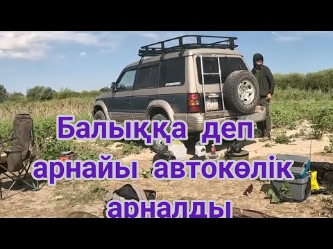 Видео: Аралға құйарлық дария!