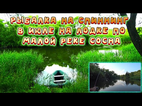 Видео: Рыбалка на спиннинг, с лодки, на малой реке - "Сосна", в июле! Щука, голавль и окунь на блесны!