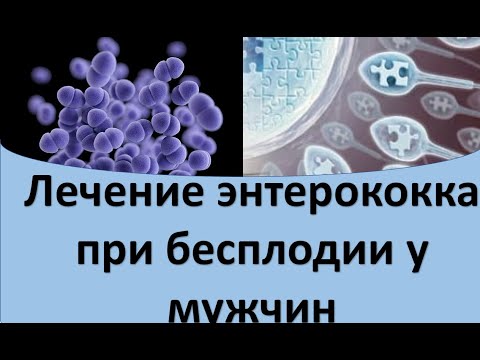 Видео: Лечение энтерококка при бесплодии у мужчин