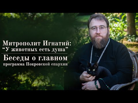 Видео: "У животных есть душа" - "Беседы о главном" с митрополитом Игнатием