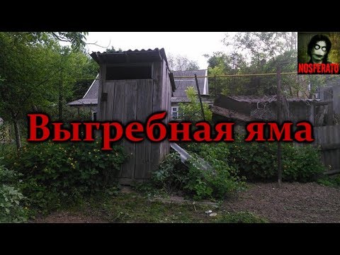 Видео: Истории на ночь - Выгребная яма