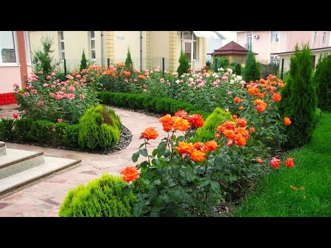 Видео: Дача и загородный сад Идеи для воплощения / Examples of beautiful garden decorations