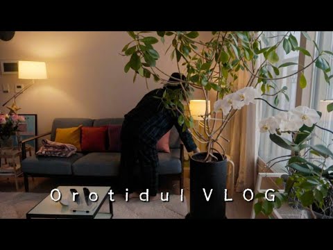 Видео: Снежный день☃️| 10 правил и привычек, которые помогут позаботиться о себе и окружающей среде ☘️