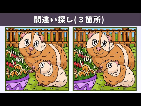 Видео: Найдите 3 отличия | Иллюстрация Версия #1219