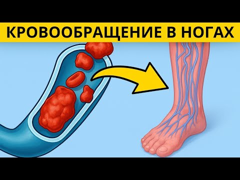 Видео: Вот как нормализовать кровообращение в ногах (Смотреть всем!)