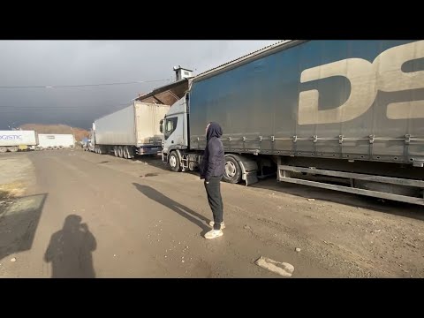 Видео: 10 ноября 2025 г.