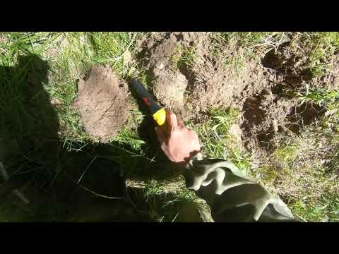 Видео: Полевые тесты: Pro-Find 20, Equinox 800 и 2 катушки